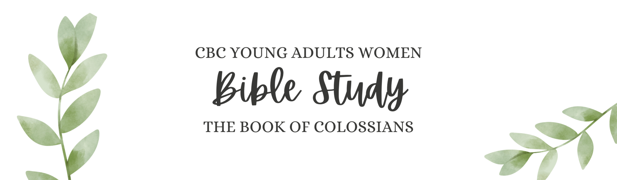 Young Adult Women Bible Study